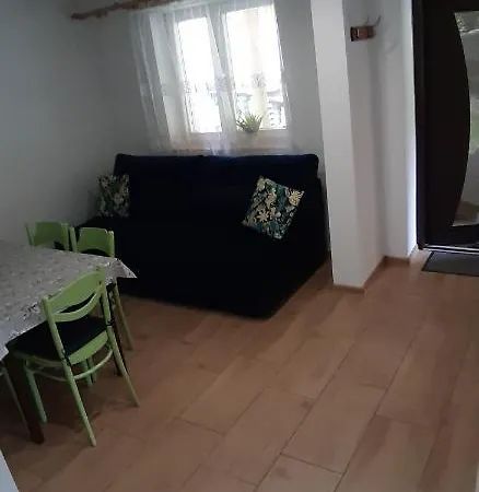 Apartamenty U Rudej Olszanica Exterior photo