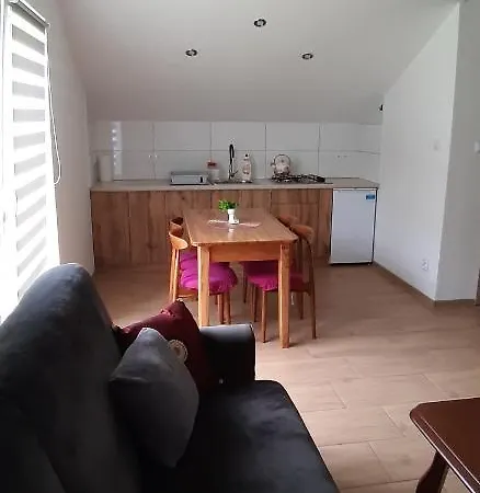 Apartamenty U Rudej Olszanica Exterior photo