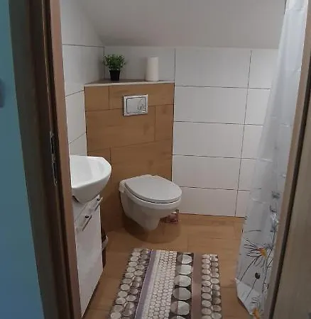 Apartamenty U Rudej Olszanica Exterior photo