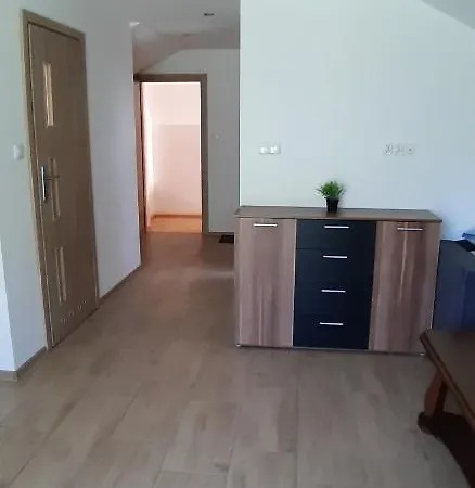 Apartamenty U Rudej Olszanica Exterior photo