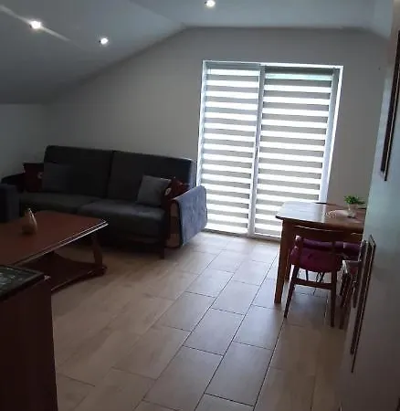 Apartamenty U Rudej Olszanica Exterior photo