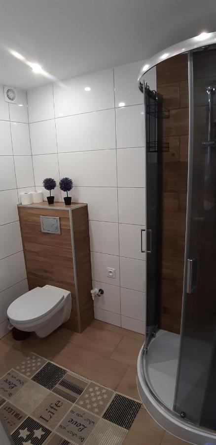 U Rudej Apartment
